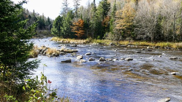 Running Creek Through Rocks and Stones Causing White Water on a Sunny Autumn Day