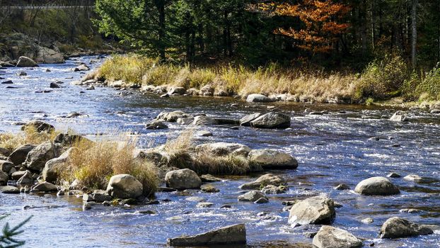Running Creek Through Rocks and Stones Causing White Water on a Sunny Autumn Day