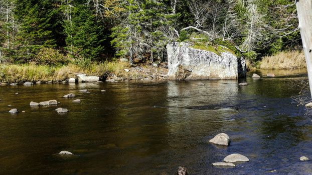 Running Creek Through Rocks and Stones Causing White Water on a Sunny Autumn Day