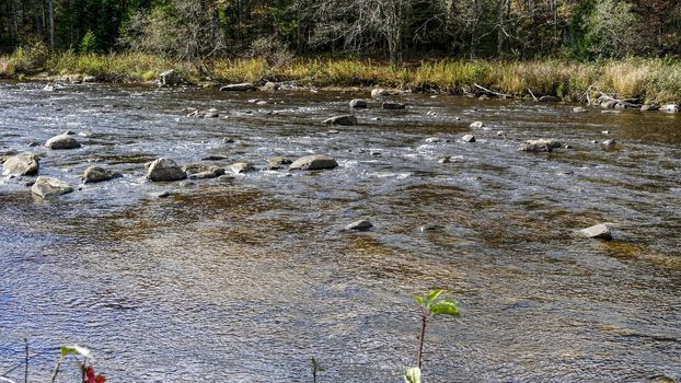Running Creek Through Rocks and Stones Causing White Water on a Sunny Autumn Day