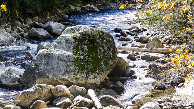Running Creek Through Rocks and Stones Causing White Water on a Sunny Autumn Day