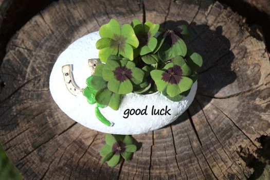 The picture shows a good luck decoration with the text good luck