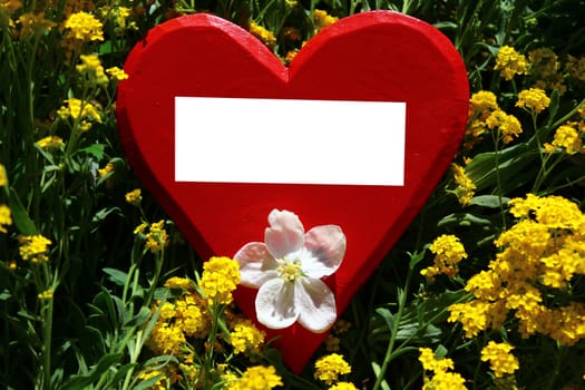 The picture shows a red wooden heart with a text space in alyssum