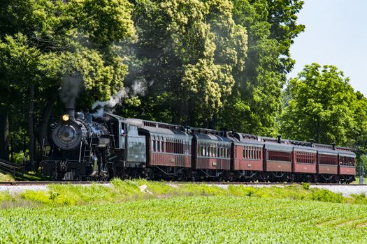 Steam Passenger Train Pulling into Picnic Area Blowing Smoke on a Sunny Summer Day