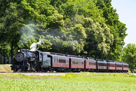 Steam Passenger Train Pulling into Picnic Area Blowing Smoke on a Sunny Summer Day