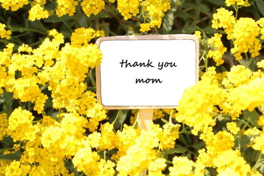 The picture shows mother`s day greetings and yellow flowers