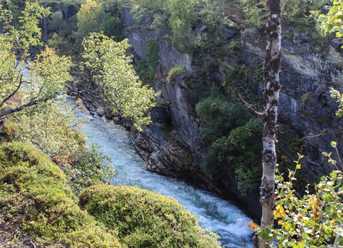 Overview of Kungsleden river in the arctic tundra. Abisko national park, Nothern Sweden