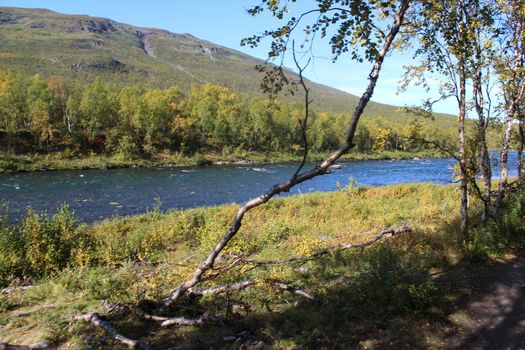 Overview of Kungsleden river in the arctic tundra. Abisko national park, Nothern Sweden