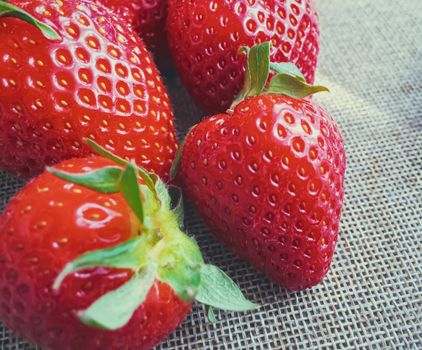 Organic strawberries on rustic linen background, fruit farming and agriculture