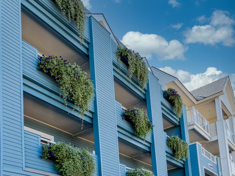 Green plants and flowers growing on blue balconies