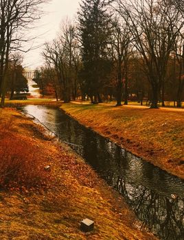 Autumn nature in park, fall leaves and trees outdoors, beautiful season