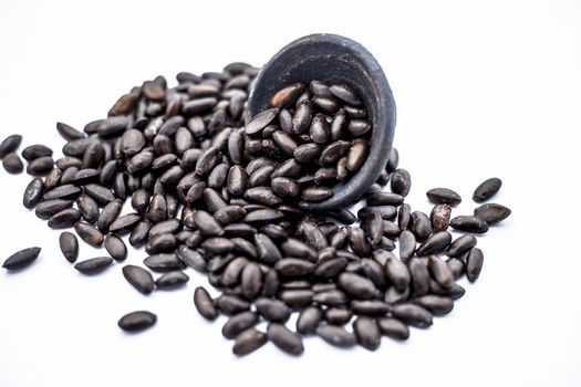 Close up of brown colored dried custard apples or sitaphal or sugar apple seeds in a black colored clay bowl isolated on white.