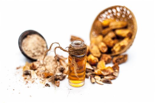 Essential oil of kharek of dried dates or sukhi khajoor or Phoenix dactylifera in a transparent glass bottle isolated on white with raw dried dates and its powder.