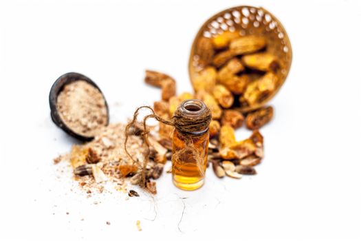 Essential oil of kharek of dried dates or sukhi khajoor or Phoenix dactylifera in a transparent glass bottle isolated on white with raw dried dates and its powder.