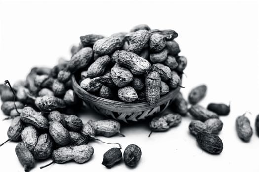 Close up of brown colored hamper having groundnuts or peanuts or moongaphalee or Arachis hypogaea or goober or monkey nut isolated on white.