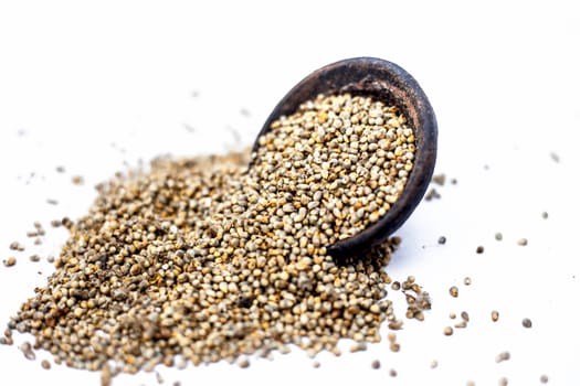 Close up of grains of pearl millet or bajra or Pennisetum glaucum in a clay bowl isolated on white.