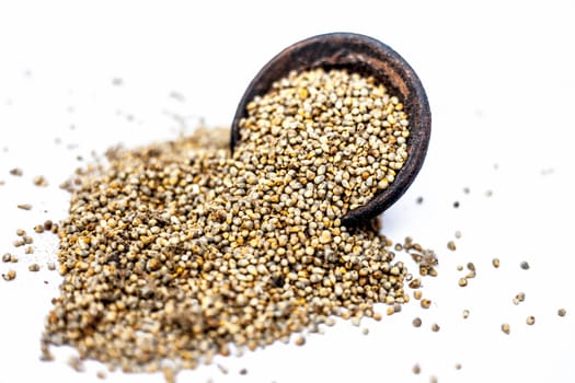 Close up of grains of pearl millet or bajra or Pennisetum glaucum in a clay bowl isolated on white.