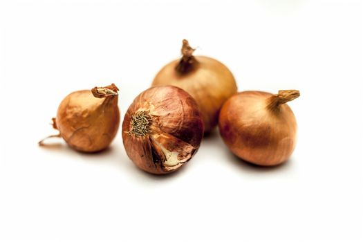 Close up of raw organic Onion vegetable isolated on white also known as pyaaj or pyaaz or Allium cepa.