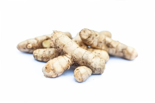 Close up of raw fresh organic ginger isolated on white also knwon as adrak or Zingiber officinale.