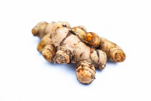 Close up of popular Indian &amp; Asian raw organic herb or ayurvedic herb isolated on white i.e. Amba haldi or Mango ginger or white ginger or Curcuma amada.