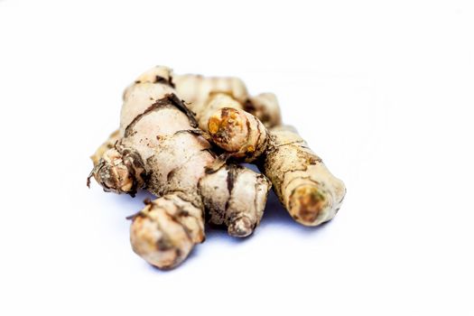 Close up of popular Indian &amp; Asian raw organic herb or ayurvedic herb isolated on white i.e. Amba haldi or Mango ginger or white ginger or Curcuma amada.