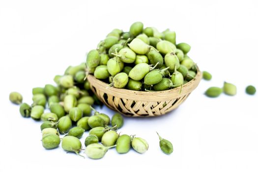 Ginjua or gingua or chick peas or chick pods or Egyptian beans in a clay bowl isolated on white.