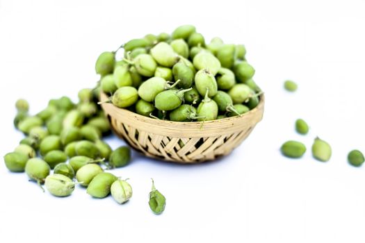 Ginjua or gingua or chick peas or chick pods or Egyptian beans in a clay bowl isolated on white.