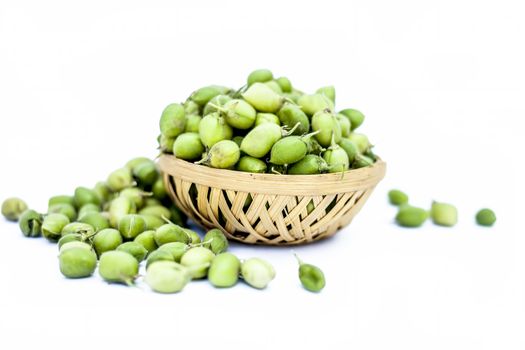 Ginjua or gingua or chick peas or chick pods or Egyptian beans in a clay bowl isolated on white.