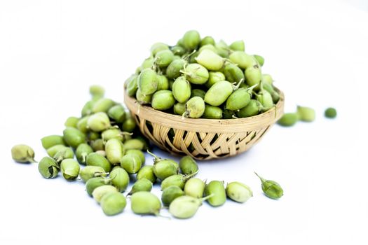 Ginjua or gingua or chick peas or chick pods or Egyptian beans in a clay bowl isolated on white.