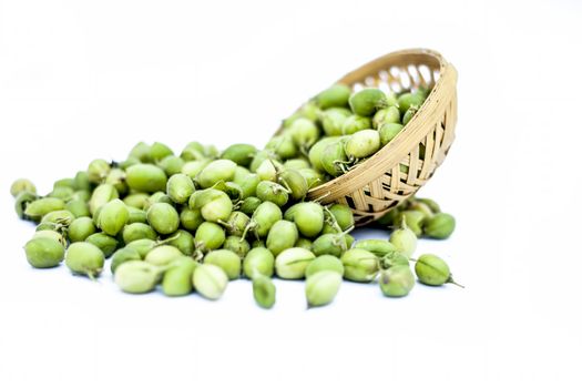 Ginjua or gingua or chick peas or chick pods or Egyptian beans in a clay bowl isolated on white.