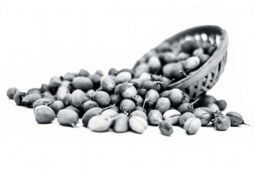 Ginjua or gingua or chick peas or chick pods or Egyptian beans in a clay bowl isolated on white.