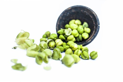 Ginjua or gingua or chick peas or chick pods or Egyptian beans in a clay bowl isolated on white.