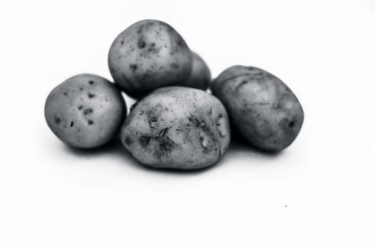 Close up of raw organic potato or Solanum tuberosumor aaloo or alu isolated on white.