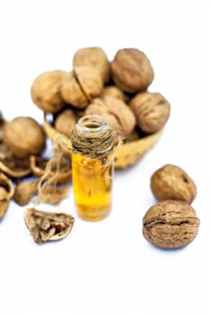 Close up of essential oil or essence of walnut or akhrot isolated on white in a small transparent glass bottle along with raw in shell walnuts or Juglans.