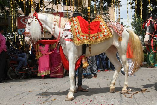 Horse Decoration in a wedding