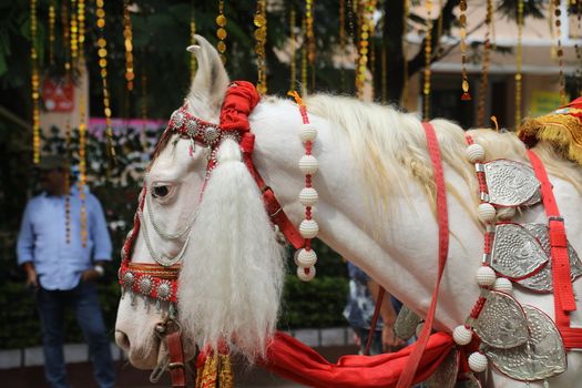 Horse Decoration in a wedding