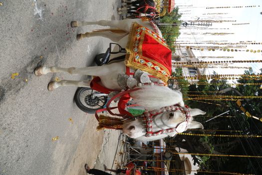 Horse Decoration in a wedding