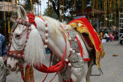 Horse Decoration in a wedding