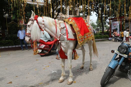Horse Decoration in a wedding