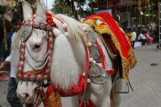 Horse Decoration in a wedding