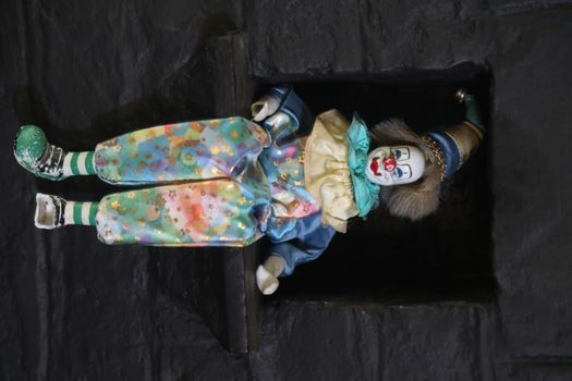 Doll in the Home