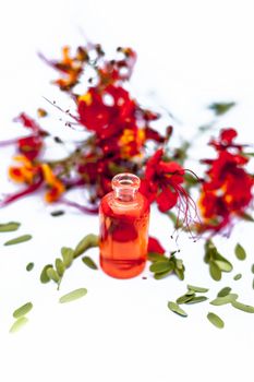 Close up of peacock flowers isolated on white along with its herbal organic essence in a small bottle used in many flavored beverages.