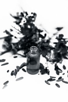 Close up of peacock flowers isolated on white along with its herbal organic essence in a small bottle used in many flavored beverages.