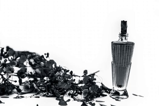 Close up shot of perfume or scent of peacock flower in a transparent bottle along with raw flowers isolated on white.