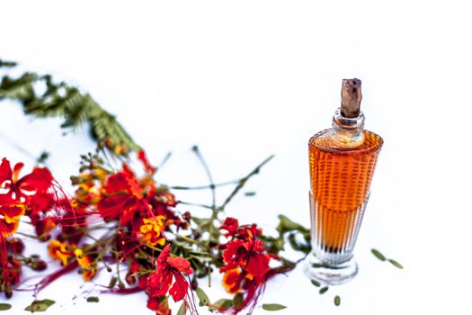 Close up shot of perfume or scent of peacock flower in a transparent bottle along with raw flowers isolated on white.