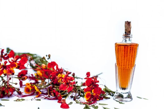 Close up shot of perfume or scent of peacock flower in a transparent bottle along with raw flowers isolated on white.