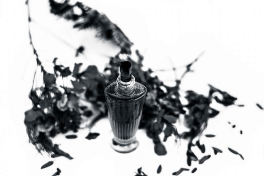 Close up shot of perfume or scent of peacock flower in a transparent bottle along with raw flowers isolated on white.