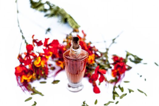 Close up shot of perfume or scent of peacock flower in a transparent bottle along with raw flowers isolated on white.