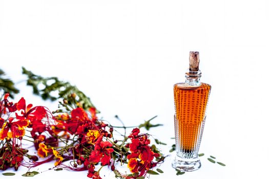 Close up shot of perfume or scent of peacock flower in a transparent bottle along with raw flowers isolated on white.