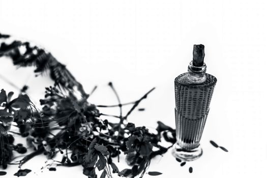 Close up shot of perfume or scent of peacock flower in a transparent bottle along with raw flowers isolated on white.